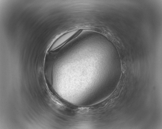 X0000059800052200510241340