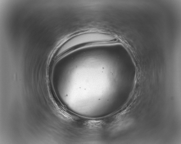 X0000059800055200510241340