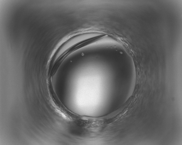 X0000059800056200510241340