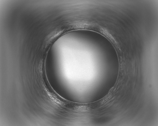 X0000059800058200510241340