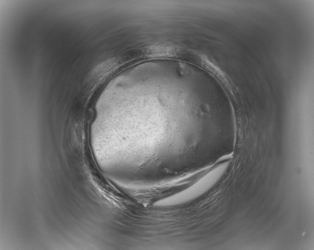 X0000059800059200510241340