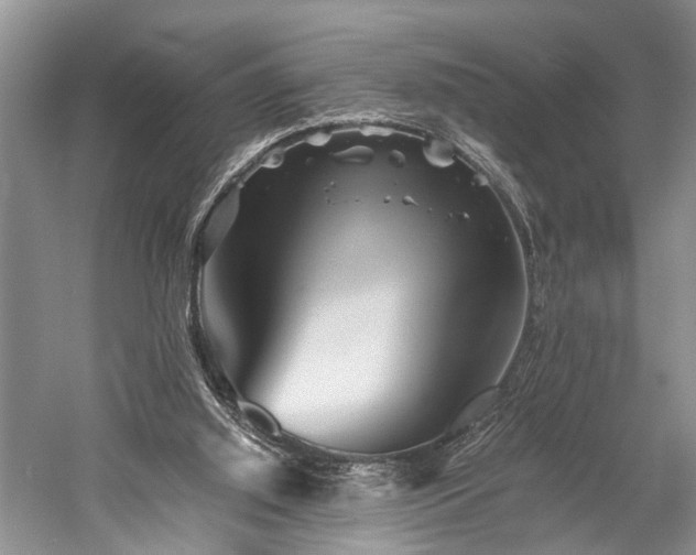 X0000059800060200510241340