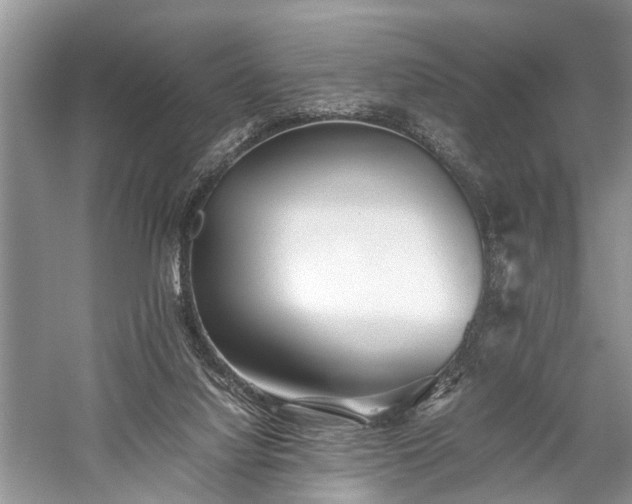 X0000059800068200510241340