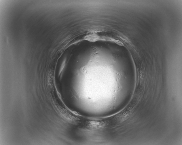 X0000059800073200510241340