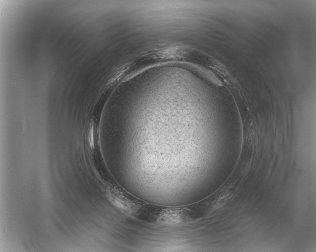 X0000059800076200510241340