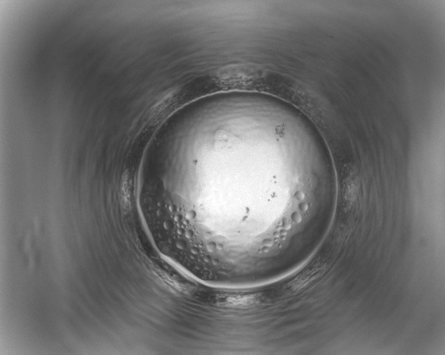 X0000059800081200510241340