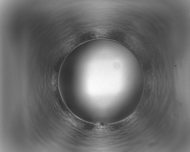 X0000059800082200510241340