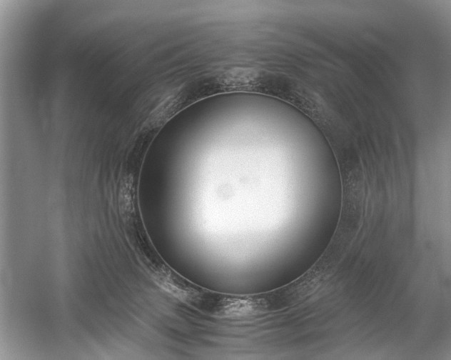 X0000059800083200510241340