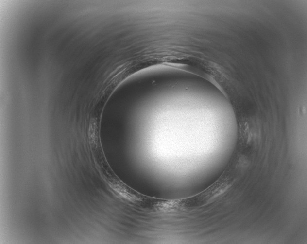 X0000059800092200510241340