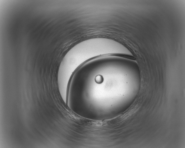 X0000059800096200510241341