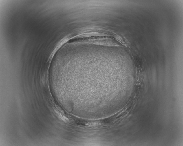 X0000059800099200510241340