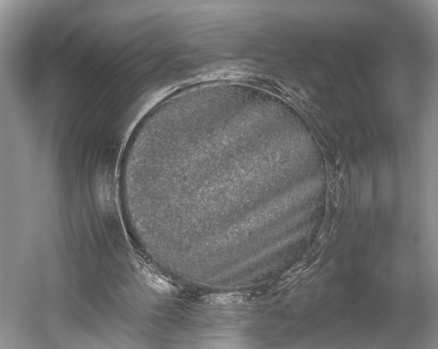 X0000059800100200510241340