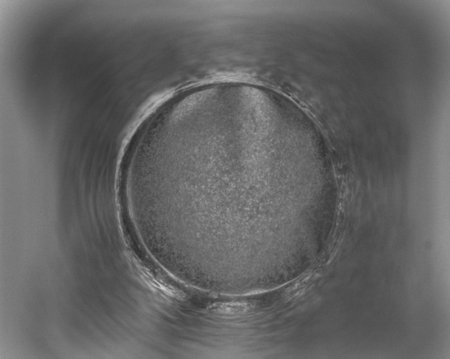 X0000059800104200510241340