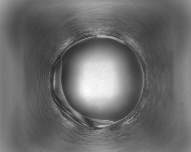 X0000059800105200510241340