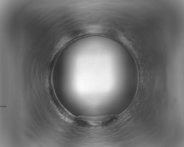 X0000059800106200510241340