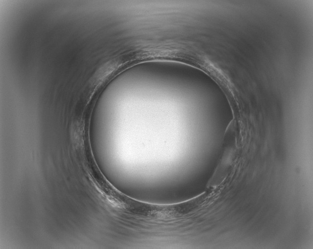 X0000059800107200510241340