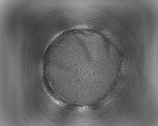 X0000059800112200510241339