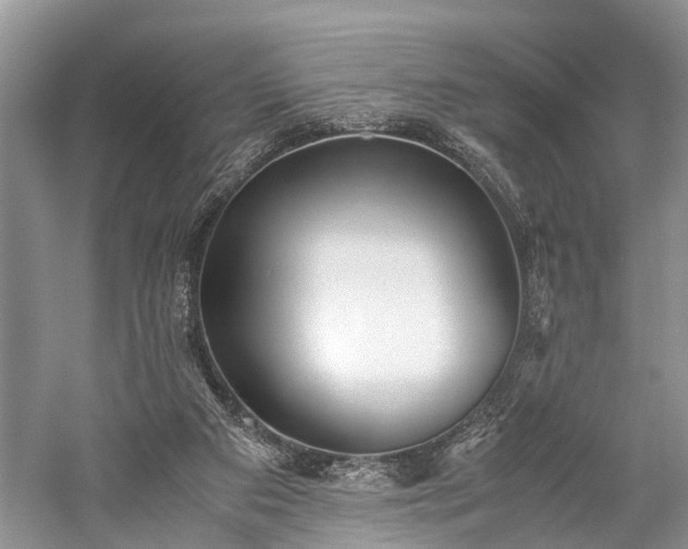 X0000059800113200510241339