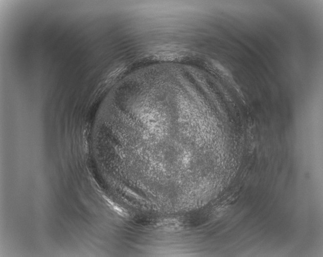 X0000059800114200510241339