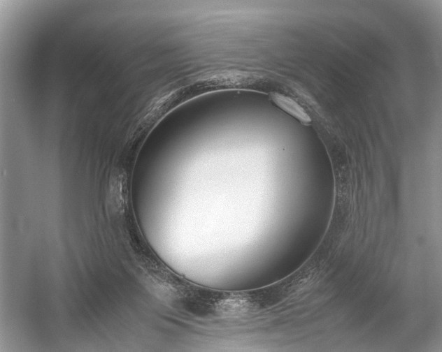 X0000059800119200510241339