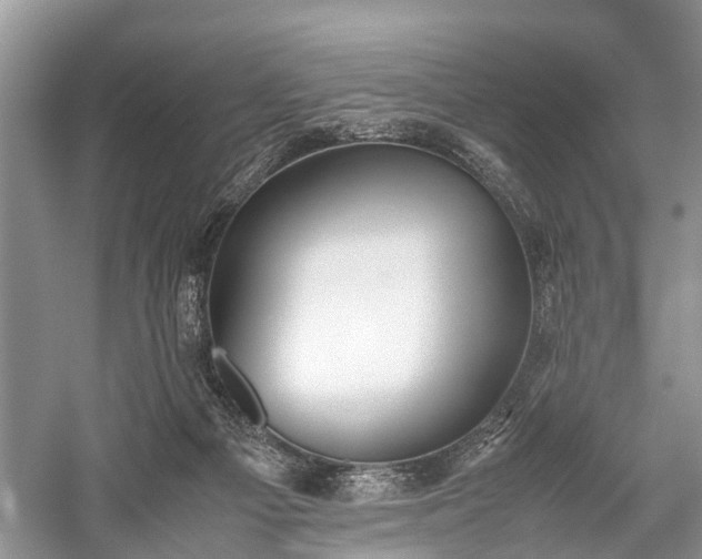 X0000059800121200510241339