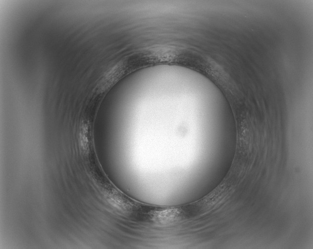 X0000059800122200510241339