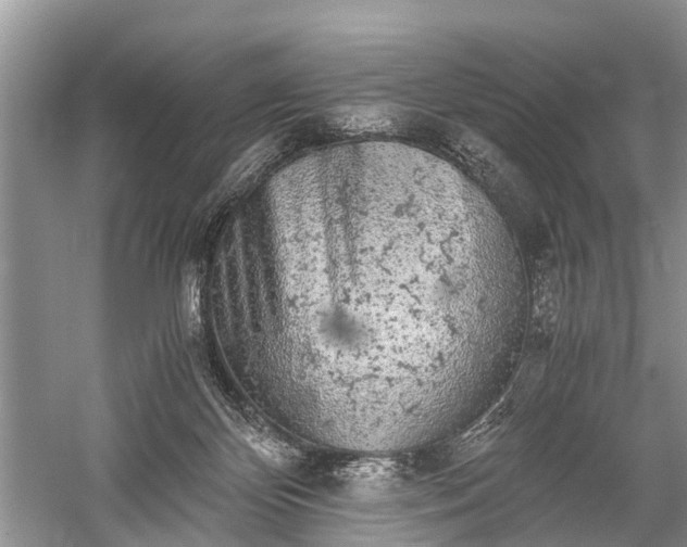 X0000059800124200510241339