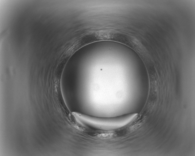 X0000059800125200510241339