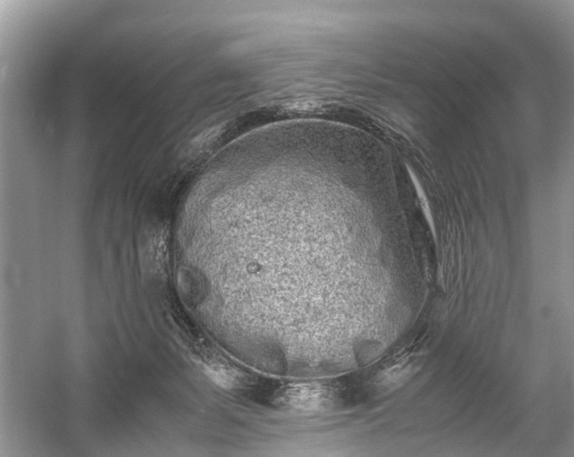 X0000059800127200510241339