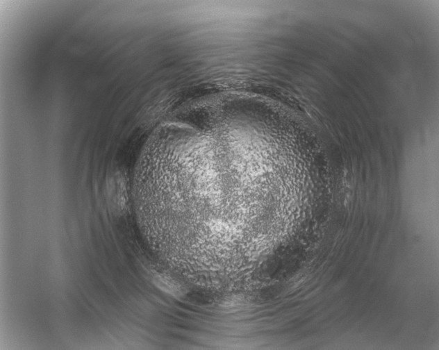 X0000059800130200510241339