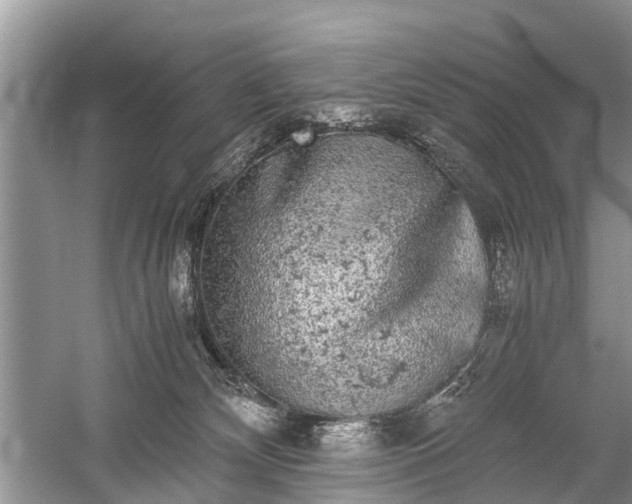 X0000059800132200510241339