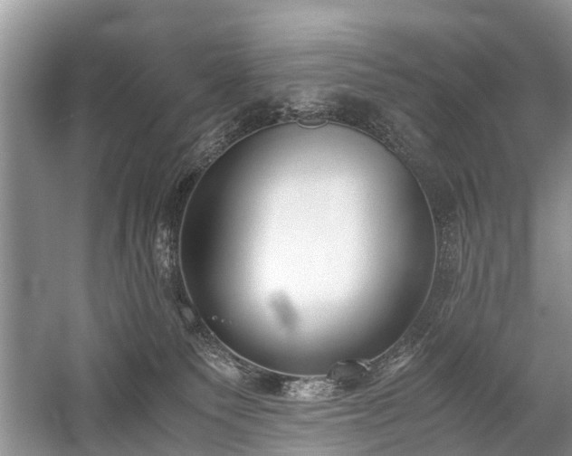 X0000059800135200510241339