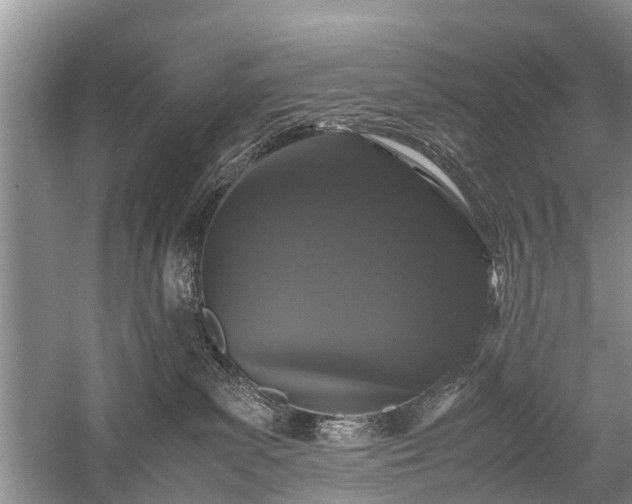 X0000059800139200510241339