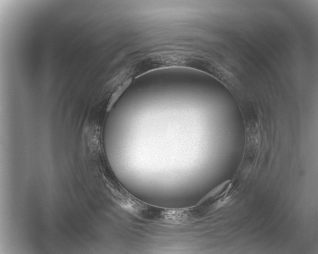 X0000059800141200510241339