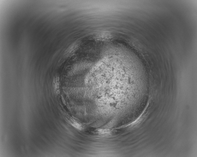 X0000059800144200510241339