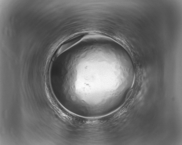 X0000059800145200510241338