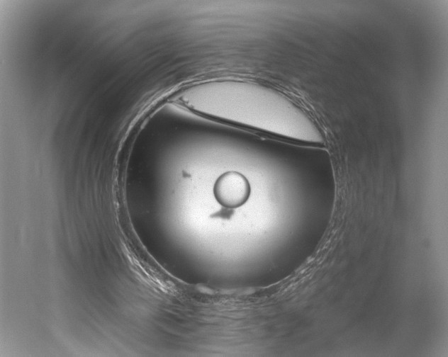 X0000059800146200510241338