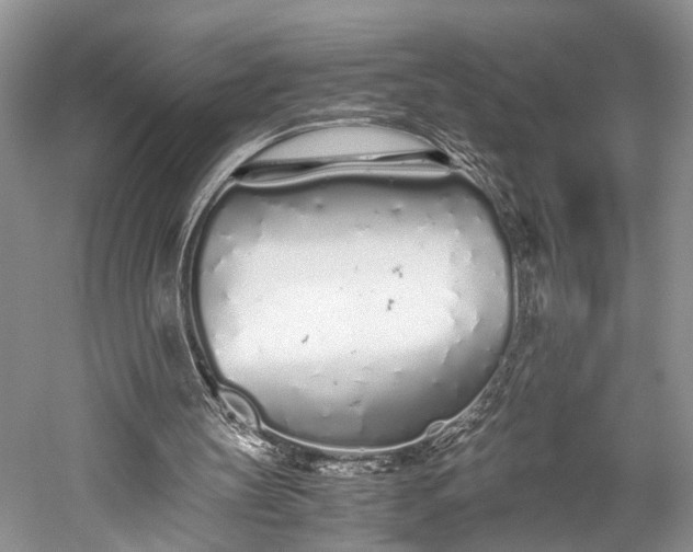 X0000059800147200510241338