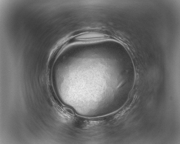 X0000059800149200510241338