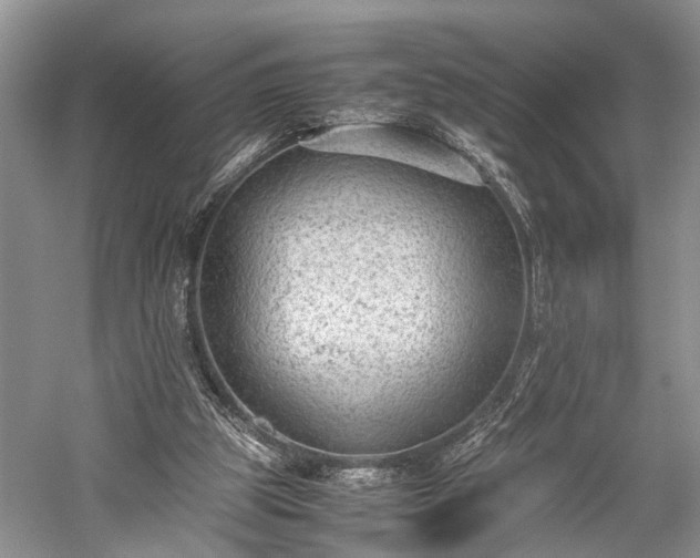 X0000059800153200510241338