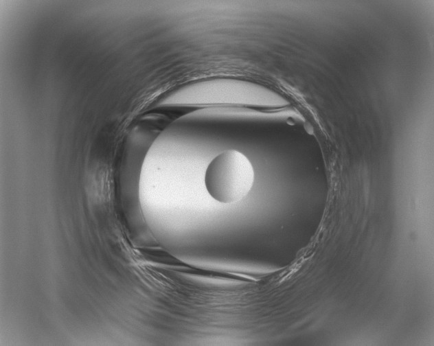 X0000059800154200510241338