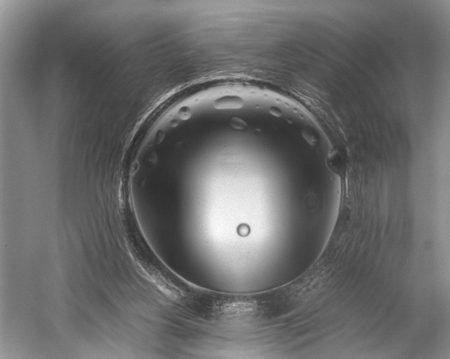 X0000059800156200510241338