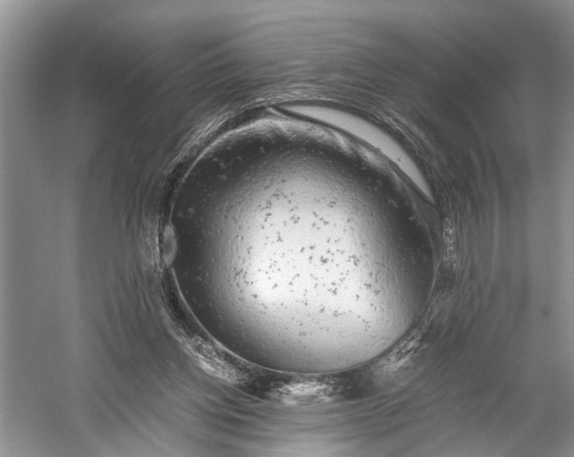 X0000059800158200510241338