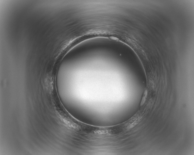 X0000059800160200510241338