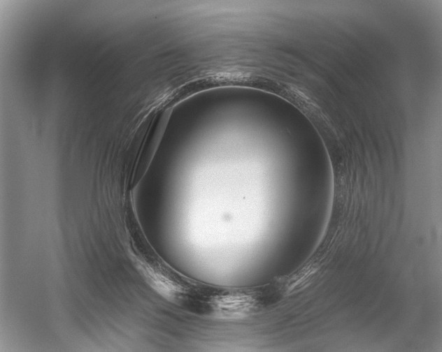 X0000059800168200510241338