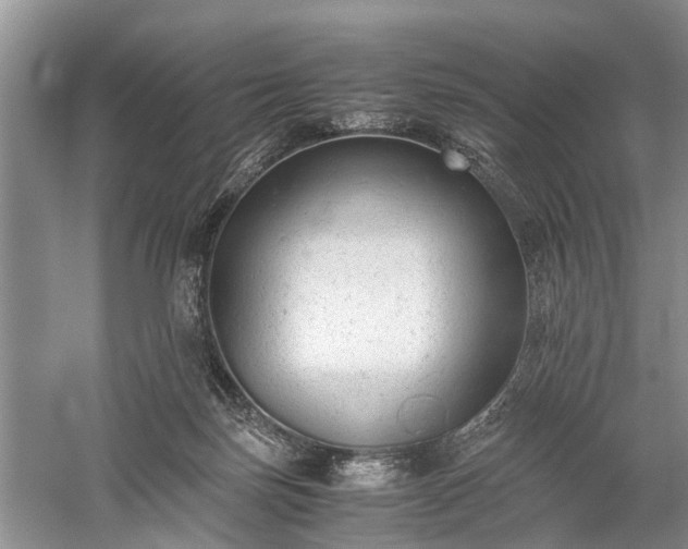 X0000059800171200510241338