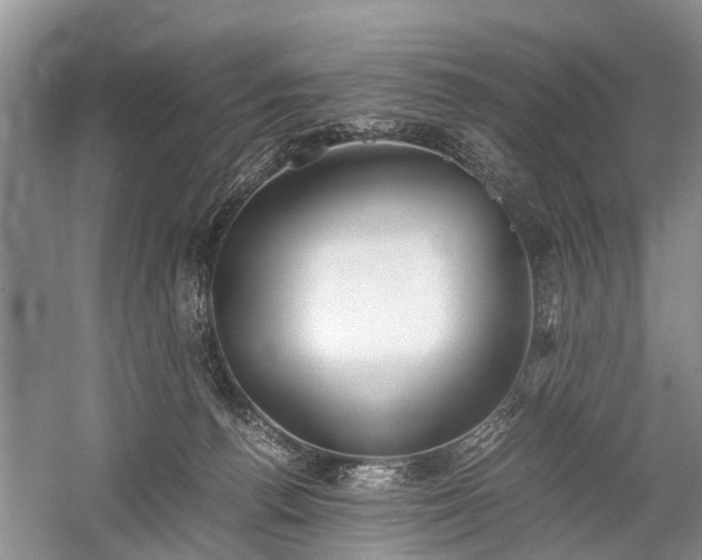 X0000059800176200510241338