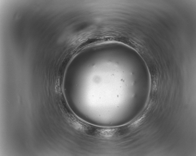 X0000059800182200510241338