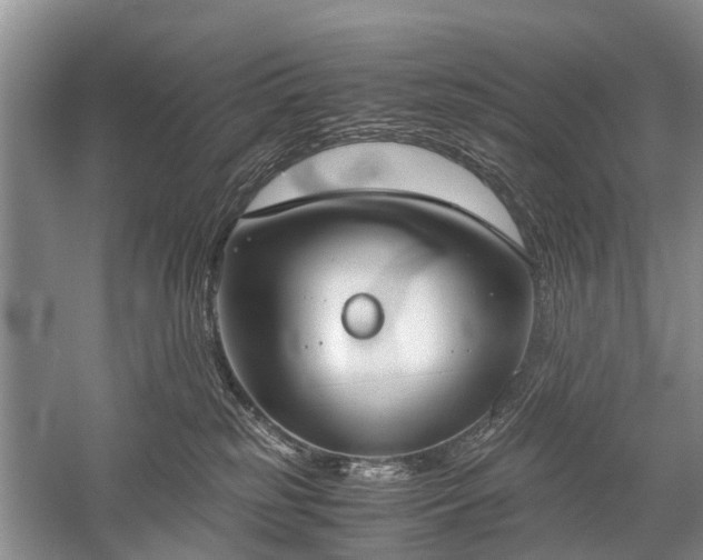 X0000059800185200510241339