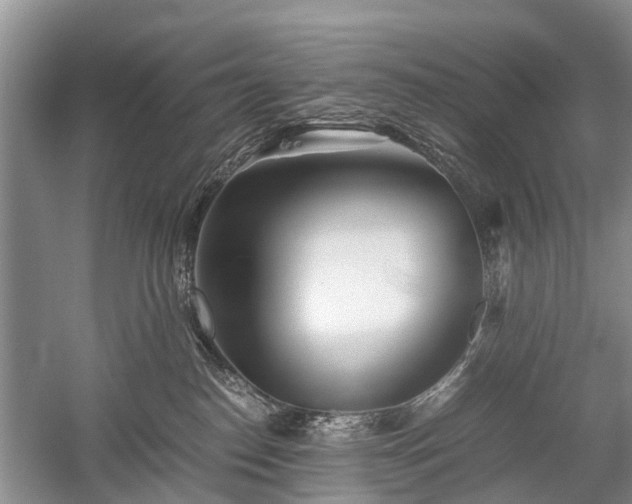 X0000059800186200510241339